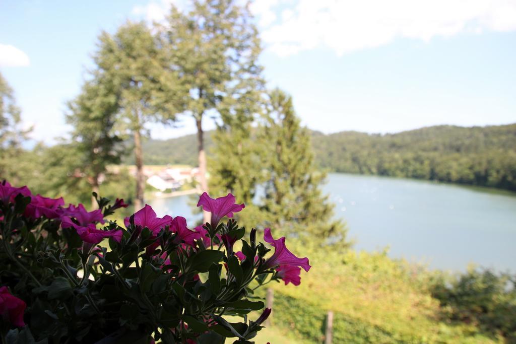 Lake House Apartment Medvode Exterior foto